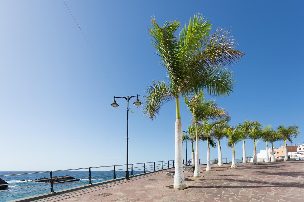 Alcalá la RealAtlantic Sunset公寓 外观 照片